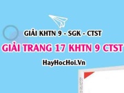Giải KHTN 9 trang 17 Chân trời sáng tạo SGK